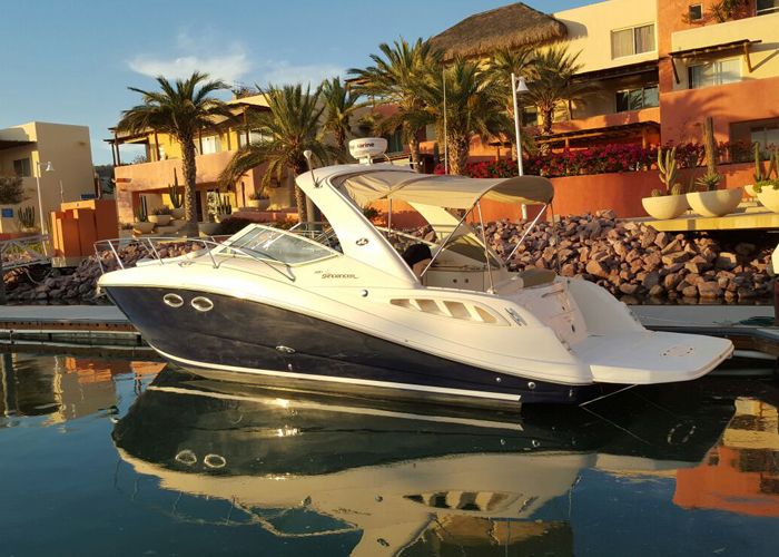 Sea Ray cruiser moored in a marina lined with palm trees